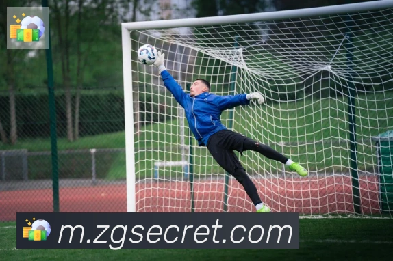 开云app平台生态图