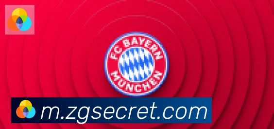 开云app合作伙伴